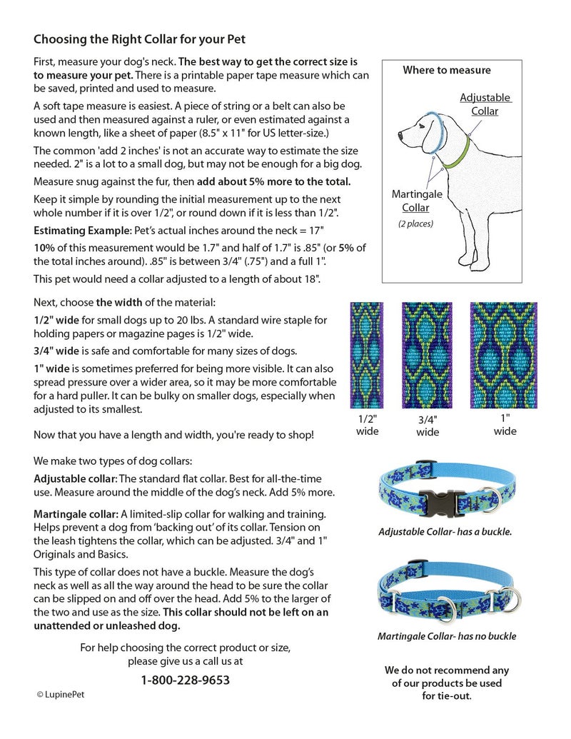Lupine Martingale Dog Collar by Lupine ECO Collection 3/4" Wide Berry adjusts 14" to 20" - Image 1